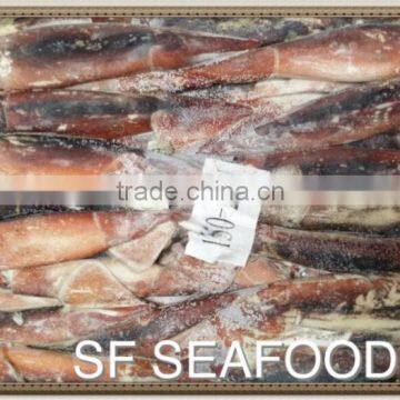 Salmon Head of Illex Squid photo-2
