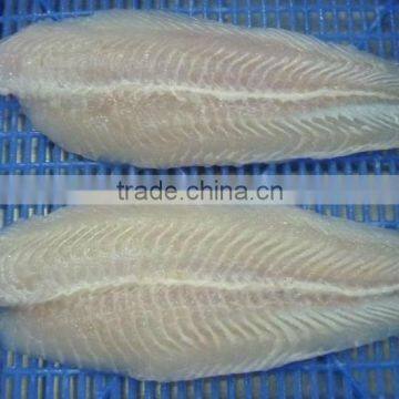 Pangasius Well Trimmed