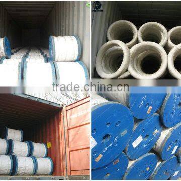 ASTM A475 EHS Hot Dipped Galvanized High Tensile Steel Wire photo-4