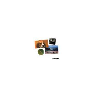 Sell 3D Magnet (Lenticular Magnet)