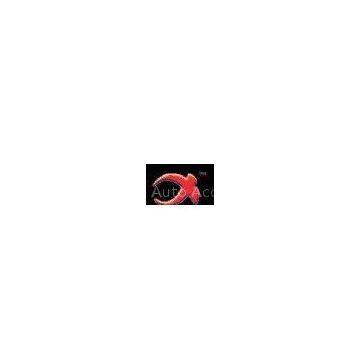 Zhejiang Tiantai NewRite Auto Accessories  Co.,Ltd.