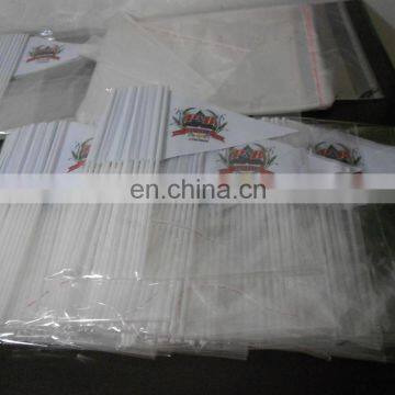 Colorful Promotional Rainbow Hand Flag photo-6