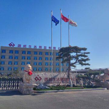 Tangshan ENBANG Hygiene Products Co., Ltd. company overview - view 1