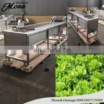 High Quality Turnip /Apple/Pear/Fruit And Vegetable Washing machine