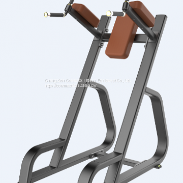CM-938 Vertical Knee up/dip Arm Workout Equipment