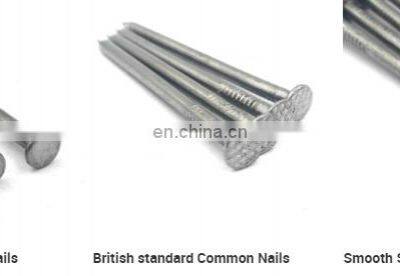 High Quality Steel Wire Nails Manufacturer In China Wire Nail Factory, Common Wire Nail in Good Price photo-3