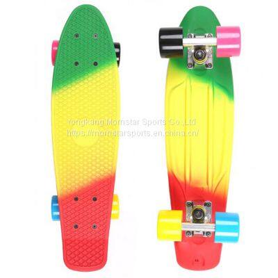 Rainbow Color Complete Mini Cruiser Skateboard Banana Plastic Fish Board