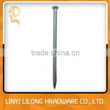 Competitive Price Galvanized Express Concrete Steel Nails