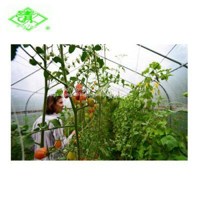 5 layer UV Agricultural Plastic Film for Greenhouse Tomato Planting