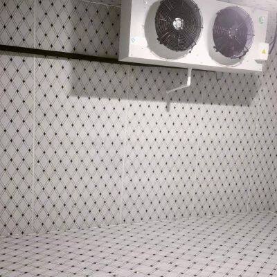 Medium Size Cold Storage,Cold Room,Cold House photo-5