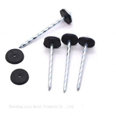 Africa Umbrella Head With Roofing Nails Galvanize Umbrella Head Roofing Nails photo-3