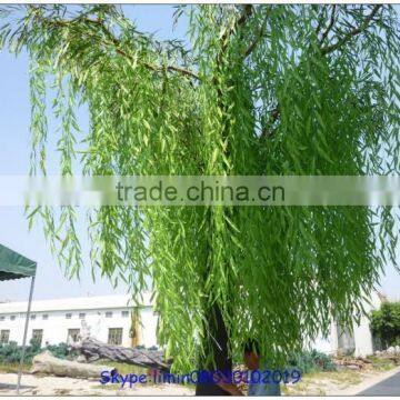 the Evergreen Leaves Artificial Trees Artificial Weeping Willow Trees photo-3