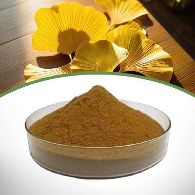 Ginkgo Biloba Extract