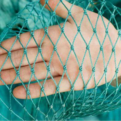 Heavy Pe Woven Anti Bird Trapping Hunting Netting Agricultural for Garden Commercial Bird Netting 19 mm for Fish Pond
