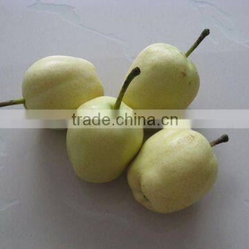 Chinese fresh good quality Ya pear