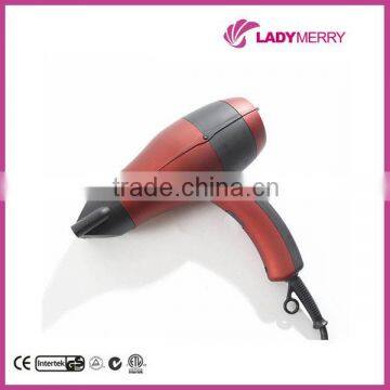 Pro Mini Hair Dryer