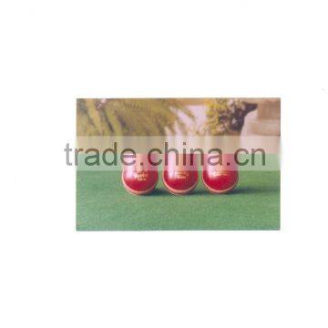 Leather Cricket Balls
