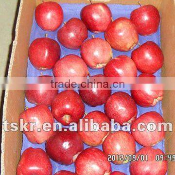 fruit market prices apple huaniu