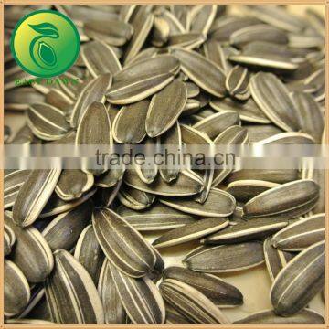 Chinese Agriculture Food Sunflower Oil Seeds photo-2