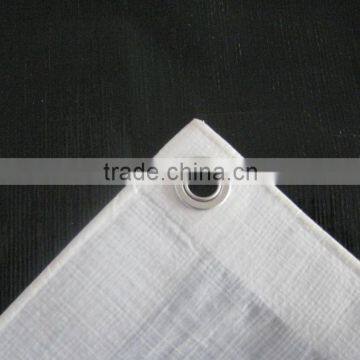 China most competitive PE tarpaulin price/PVC tarpaulin price