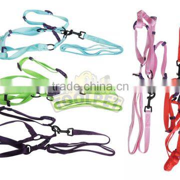 Dog collars, leashes, andharnesses