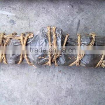 MITSUBISHI 6D31 exhaust gas manifold ME442001
