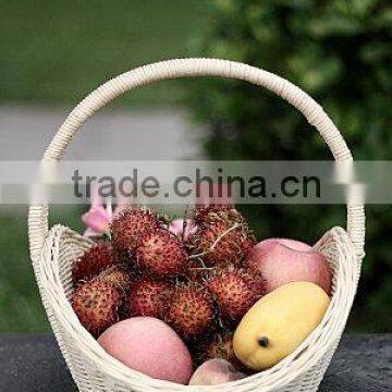 rattan storage fruit basket with long handle for picnic.