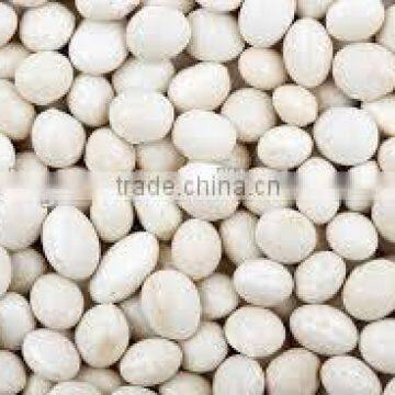 white beans round with good quality for sale