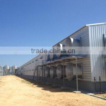 poultry shed chicken farm project