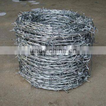 Best Galvanized barbed wire coil (factory)