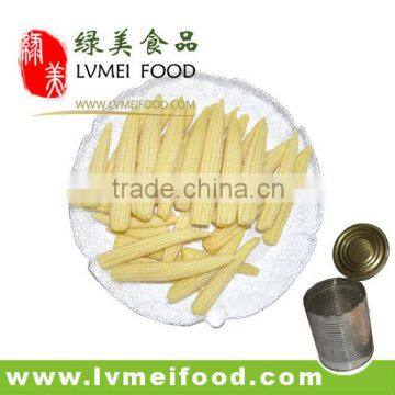 Tasty Canned Baby Corn In Brine