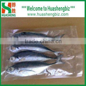 Chinese Manufacturer Grade A Frozen mackerel