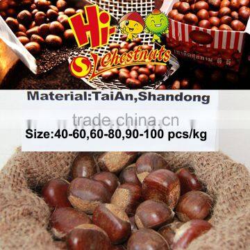 New Crop Fresh Shandong chestnuts