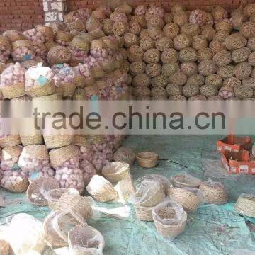 Liliaceous Vegetabless Product Type and Garlic 2017 photo-2