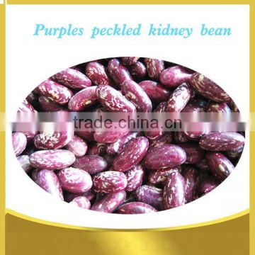 Purple speckled kidney beans