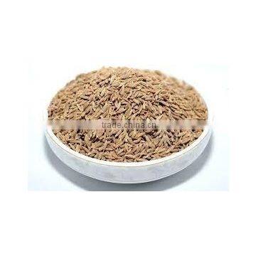 Cumin Seeds photo-5