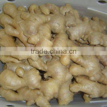 Air dried ginger