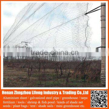 cheap 100% new HDPE anti bird net , pe bird netting , plastic bird netting on sale