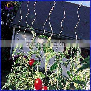 Durable and robust tomato growing spiral stake plant growing support wire