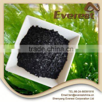 2016 Hot Sale Natural Kelp Source Organic Fertilizer Brown Seaweed Extract Flake