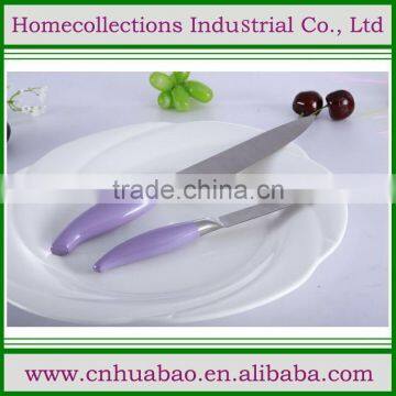 promotional gift of stainless steel kitchen knife set