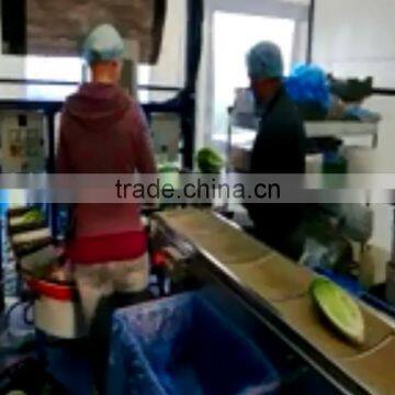 Full Automatic Kohlrabi Vegetable Packing Equipment/machine photo-3