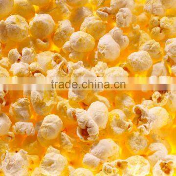 Jinan Eagle Continuous Sweet Flavored Corn Pop Snack Production Line Machine, Maize Popping Machine photo-3