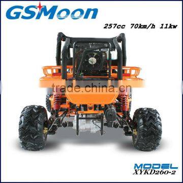 Powerfull China Cheap 250cc EEC go Karts Buggy photo-2