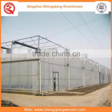 Agriculture equipment multi-span 8.0m PE film agriculture greenhouse plastic for sale