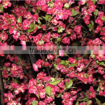 Cherry Blossoms Artificial Floral Tree Decorations,Fake Cherry Blossom Tree For Sale photo-5
