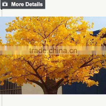 Made in China Wholesale Artificial Tree and Wedding Wishing Tree photo-3