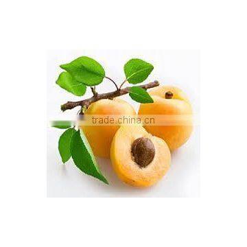 Apricoat Oil