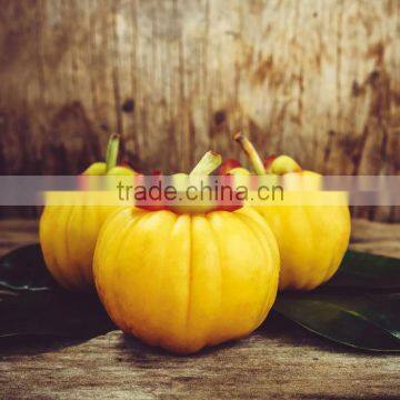 Expoter of GARCINIA CAMBOGIA EXTRACT