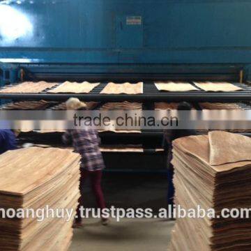 ROTARY CUT DRIED VENEER( COMPOSSED VENEER)